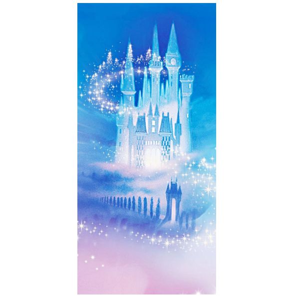 Painel 2 x 1 Castelo Cinderela